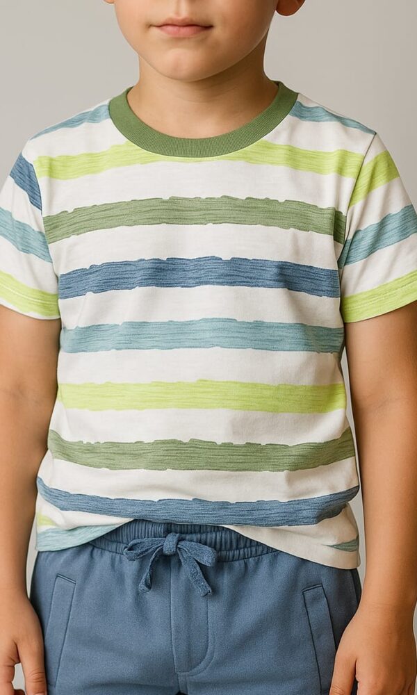 Remera Varon Jersey Algodon Soft Rayado Multicolor