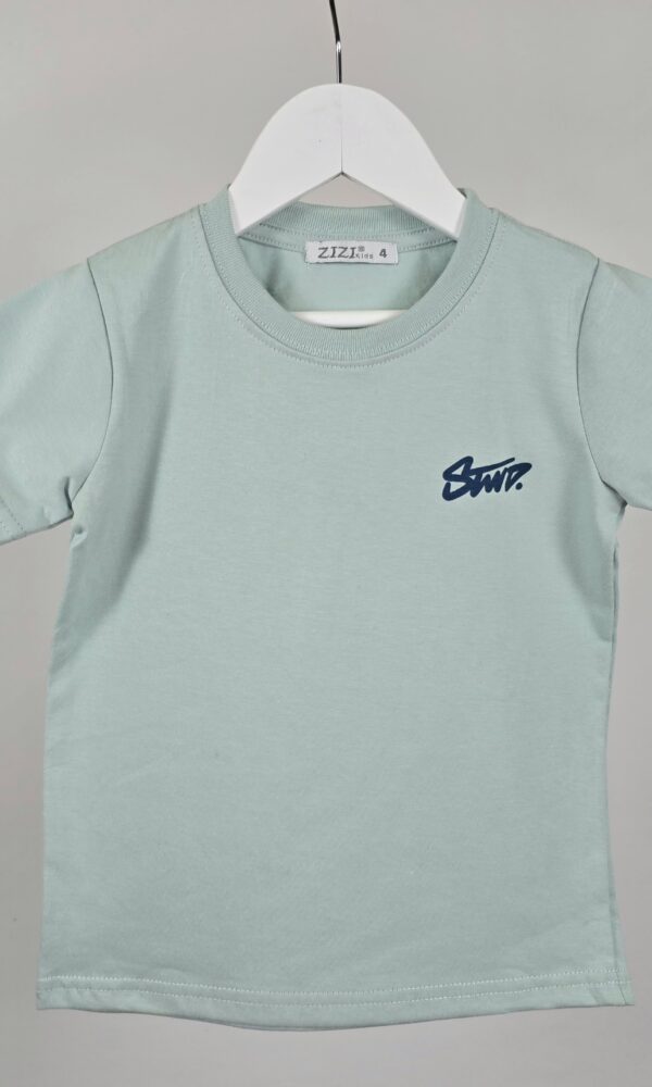 Remera Stwd Jersey Algodon con Espalda
