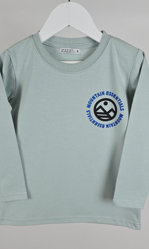 Camiseta Varon Mountain Essentials con Espalda