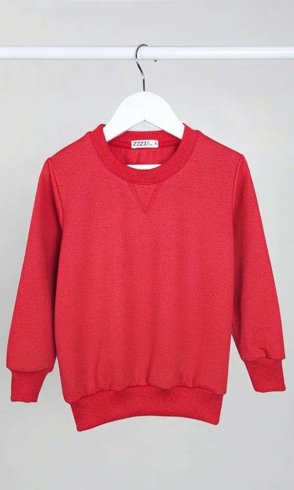 Buzo Rustico Liso Triangulo Unisex